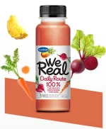 Pasteurized Fruits & Vegetables Juice Pet 200ml - WE REAL - DAILY ROUTE