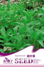 Perennial herbs green sugar stevia leaf food vegetable seed for plant