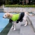 Import Pet Supplies Waterproof Dog Life Vest Reflective Dog Pet Life Jacket from China