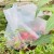 Import PLA Vegetable Package Shopping Degradable Bag from China