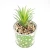 Import Planter Large Round Plastic Flower Pot from China
