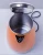Import Plastic double walls tea electrical kettle from China