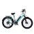 Import Popular Electric Bicycle with Lithium Battery, Fat Tire (ML-FB006) from China