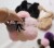 Import Pretty Girls Hair Accessory Rabbit Fur Balls Hairband Cute Pompoms Hair Rope from China