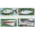 Import Private label sashimi grade yellowtail farm seafoods and frozen fish from Japan