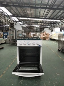 Professional Free Standing Gas Oven