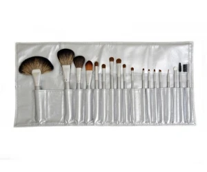 Professional Makeup Brush with Silver Handle and Bag