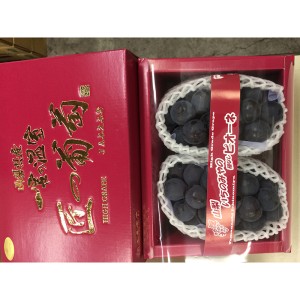 Professional supplies not easy perishable purple grapes for wholesale