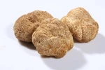 Pure Natural Lion's Mane Mushroom Extract