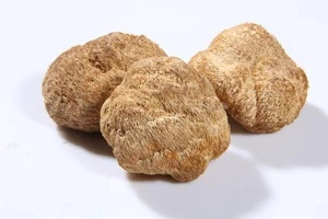 Pure Natural Lion&#039;s Mane Mushroom Extract