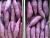 Import purple export low heat fresh sweet potato for wholesale from United Kingdom