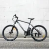 RaiderRace-603 Cheap 26inch all terrain powerful commuting electric bike Road City Ebike Adults Electric City