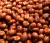 Import Raw sweet edible bulk chestnut wholesale from Uganda