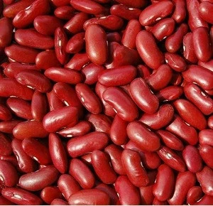 red kidney beans /pinto beans sugar beans..
