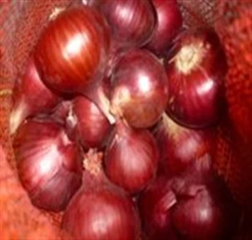 Red onion, new Egyptian harvest, 2020