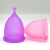 Import Reusable Furuize FDA Silicone Menstruation Cup Lady Period Cup Copa Menstrual Cup from China