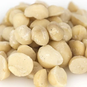 Roasted Peeled organic Macademia Nuts