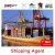 Import sea freight companies freight forwarder fast shipping from China to south africa from China
