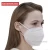 Import SGS Ce Approval FFP2 PM 2.5 Disposable 3d Foldable Kn95-Mask Facemask Separate packing Face Mask from China