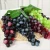 Import Simulation Crafts Faux Artificial Fruits Simulation Plastic Grape from China