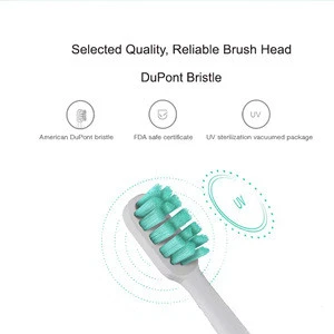 Single Color Brush Head Electric Toothbrush