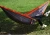 Import SS-074 high quality custom factory directly sales camping parachute hammock cheap price outdoor camp hammock from China