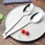 Import stainless steel serving spoon set, buffet salad rice kitchen spoon from China