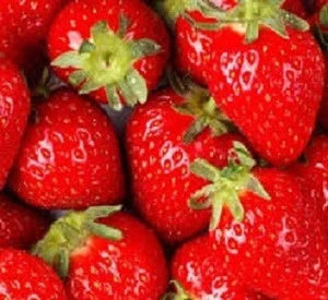 Strawberry Fresh Berries for Sale