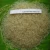 Import Thai Long Grain White Rice 100% Grade B TO ALL IMPORTERS from Thailand