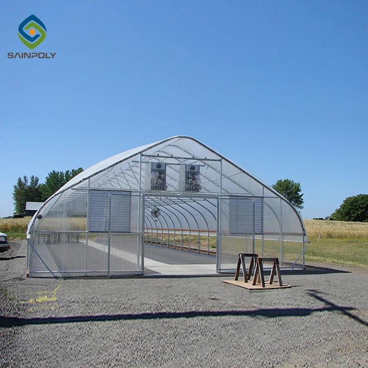 The cheapest mini single-span poly tunnel agriculture green house tunnel plastic film tomato greenhouse construction