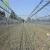 Import the newest plastic tunnel greenhouse for agriculture from China