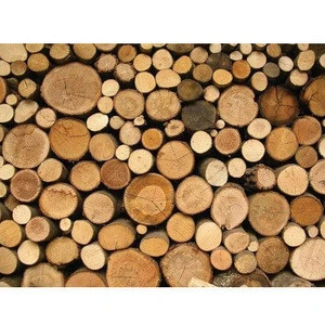 Timber  Logs :Agriculture>>Timber Raw Materials>>Logs