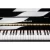 Import Top grade student upright acoustic piano from Singapore