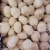 Top qualityfactory price new crop normal pure white fresh garlic