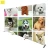 Import Top Selling Stretchable Back Drop Banner Stand from China