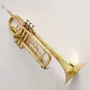 Trumpet beginner student Bb professional band trumpet brass instrument