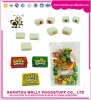 Tutti-frutti Bubble Gum Wholesale China Chewing Gum