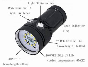 Buy Underwater Camera Photography Torch Super Bright Rechargeable ...