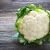 Import Vegetables ( WHOLE Sale Fresh Cauliflower) !!! from United Kingdom