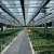 Import Venlo Greenhouse Glass Greenhouse Galvanized With Steel Frame Hydroponic Growing System In-solar agricultural Greenhouse from China