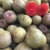 Import VIETNAM FRESH JUICY PLUM - Premium Fruit from Vietnam
