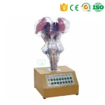 Voice prompt brain stem electric anatomy model used for medical university Price
