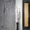 Wall mounted shower set thermostatic shower mixer