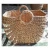 Import Water hyacinth bag basket handbag (New color) from Vietnam