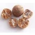 Import Whole Betel Nuts (Areca Nut) - Best Price and Quality from United Kingdom