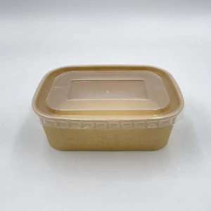 wholesale Custom design logo high quality disposable eco-friendly  paper serving tray noddles hot product with PET PP paperr lid