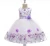 Import Wholesale fashion Children Frocks Designs Children Tulle Princess Dresses Girl Tutu Dress For 4-11 Year Old from China