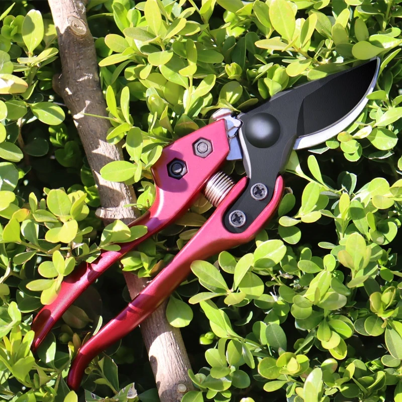 wholesale Gardening pruning shears flower branch fruit tree handle garden scissors