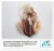 Import Wholesale high quality frozen/dried cuttlefish from China