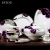 Import wholesale hotel restaurant wedding custom luxury royal fine porcelain bone china ceramic dinnerware from China